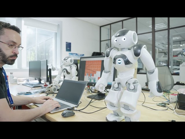 Technical Due Diligence Report for Aldebaran SoftBank Robotics NAO v6, supporting BotReburn’s verification process for the humanoid robot secondary market